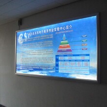 廈門喵君文化傳媒 引領(lǐng)新時代廣告?zhèn)髅降膭?chuàng)新力量